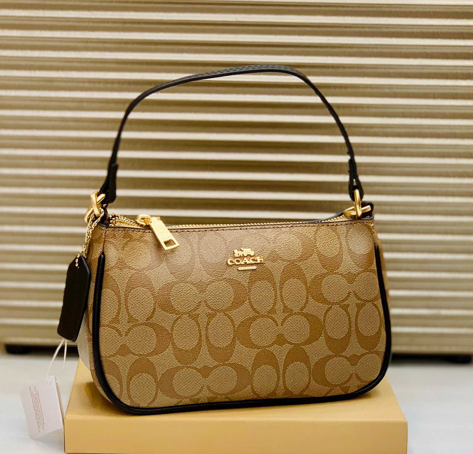 COACH Official Model