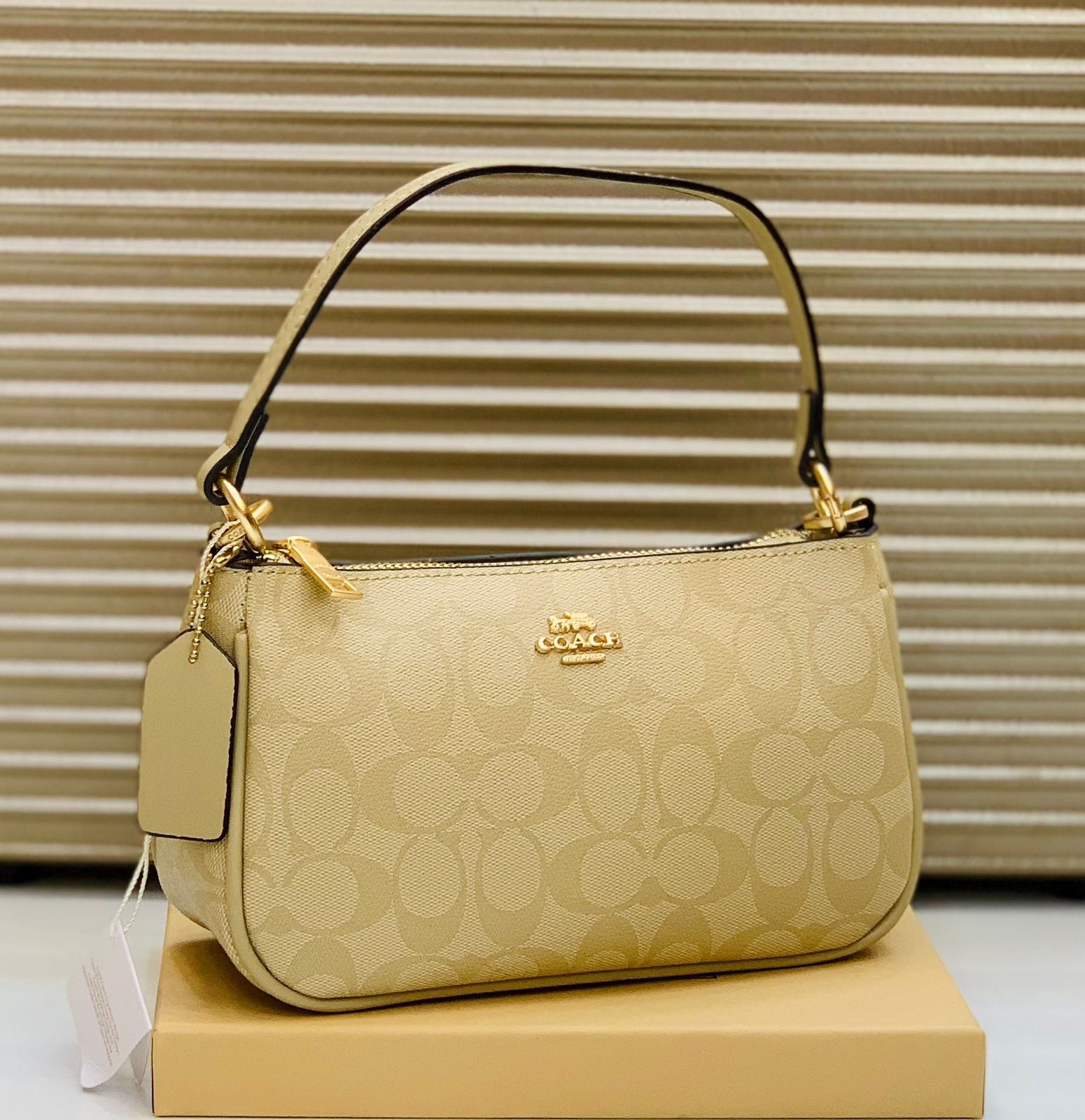 COACH Official Model