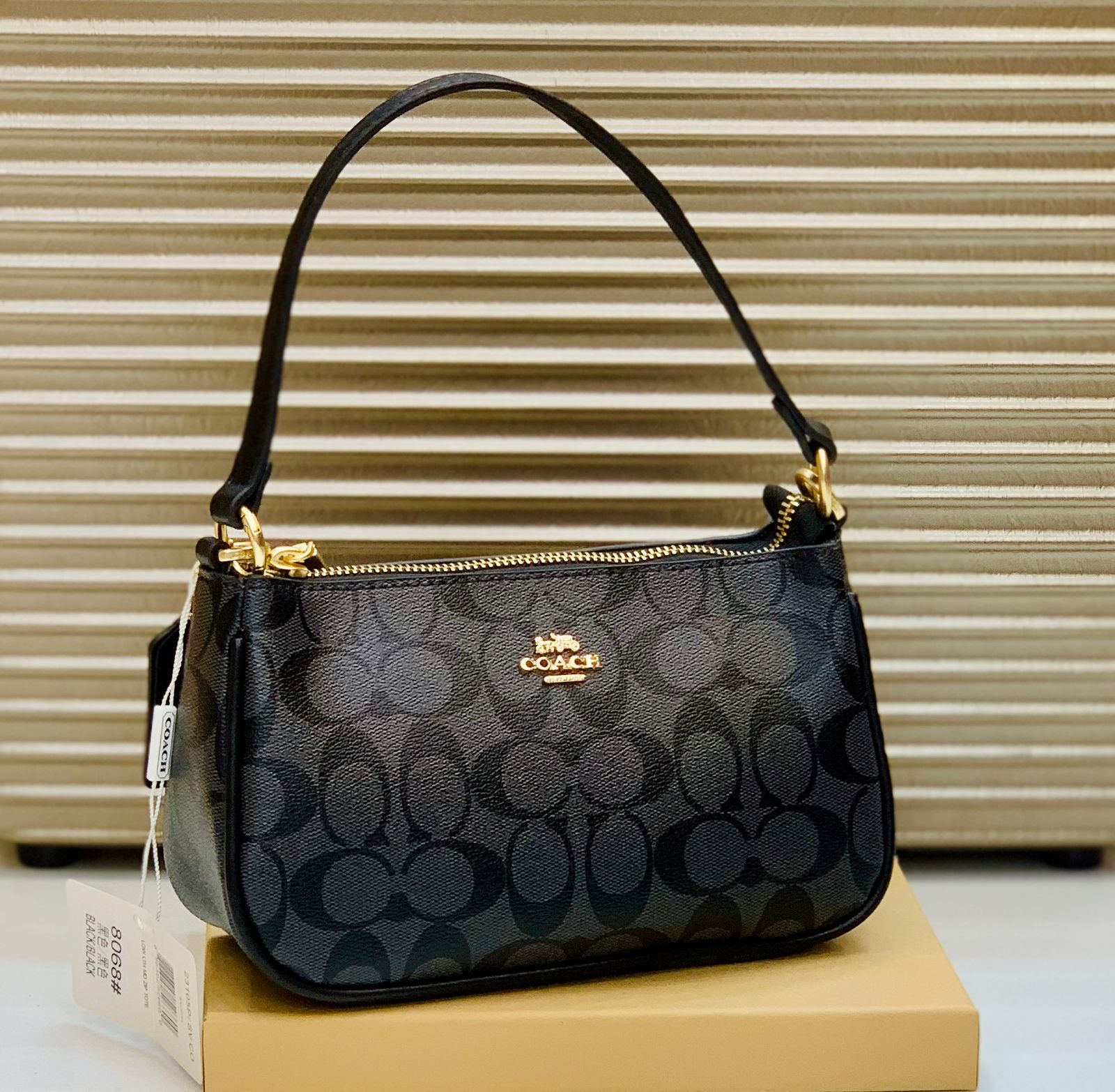 COACH Official Model