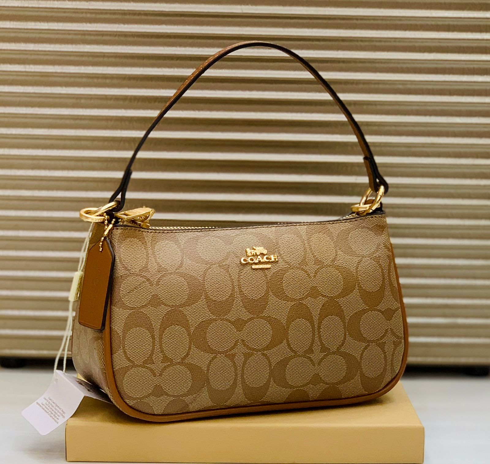 COACH Official Model